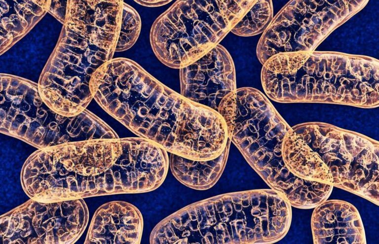 Best Mitochondria Pick Up Lines And Rizz